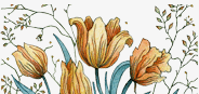WildWood Landscape | beautiful flower illustration